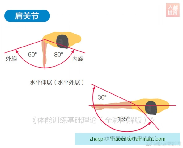 女子体操团体关节活动度，平衡木落地稳定成关键